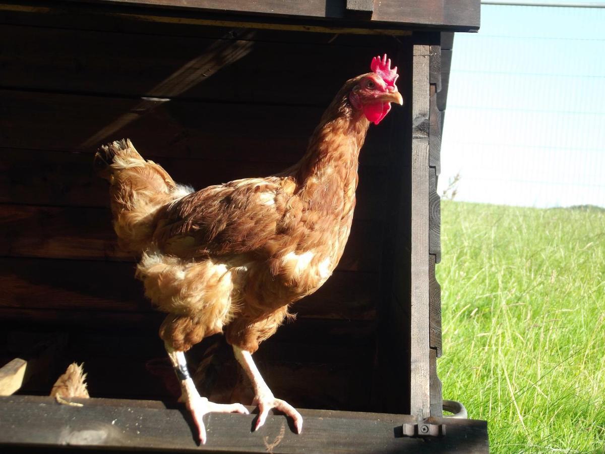 Deepaller Farm Tiverton  Zewnętrze zdjęcie