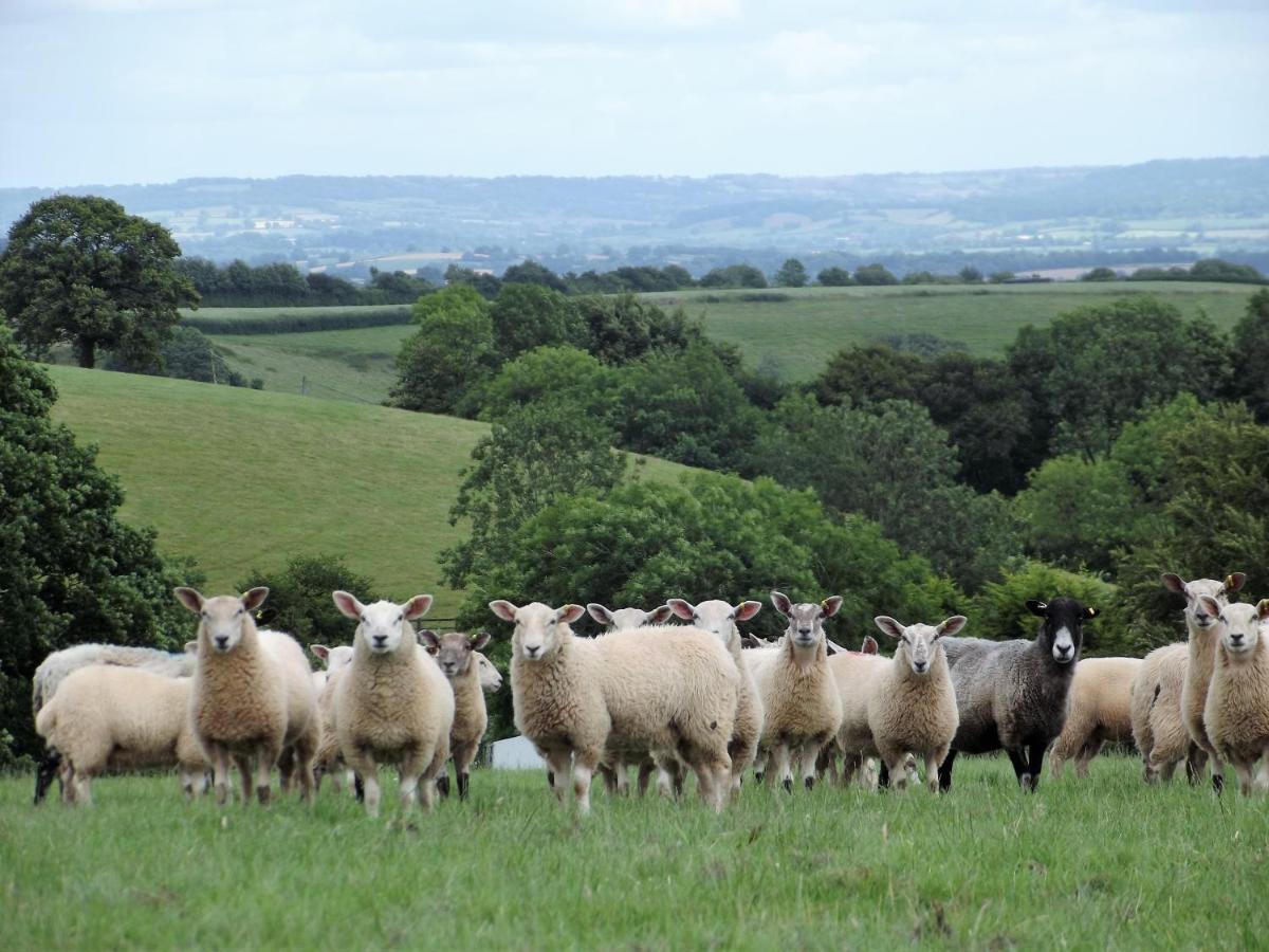 Deepaller Farm Tiverton  Zewnętrze zdjęcie